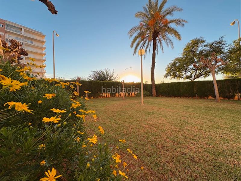 Foto 8e3cfbd0-0e78-45c7-bf49-057933dbeb5b. Location studio avec parking piscine dans La Curva Benicasim / Benicàssim