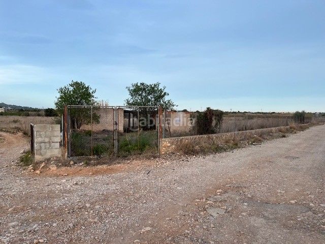 Foto 20964ff2-cbaf-4ec0-98d1-08dd2daa9322. Finca rústica a Alcossebre