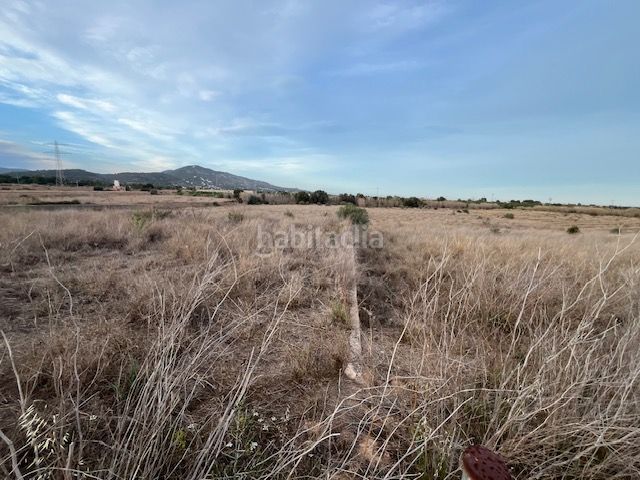 Foto a9b4e276-120d-4397-9d52-3c4191eb5342. Finca rústica a Alcossebre