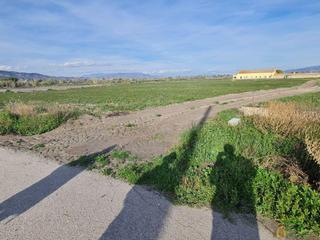 Residential Plot  De los pozos, torrrecilla. Lorcaterreno
