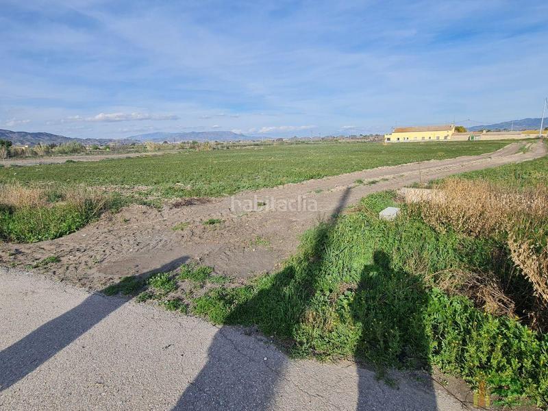 Foto dfc51e8c-e21a-4cd3-b153-82b4e1a8135c. Terreno residencial terreno en Torrecilla Lorca