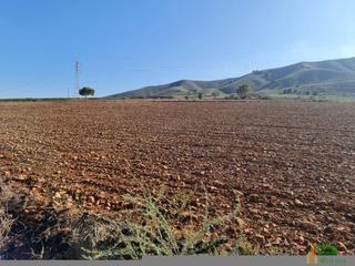 Residential Plot in Totana. Totanaterreno