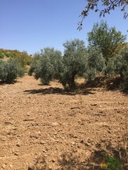 Terreny residencial a Sierra de la torrecilla. Lorcaterreno