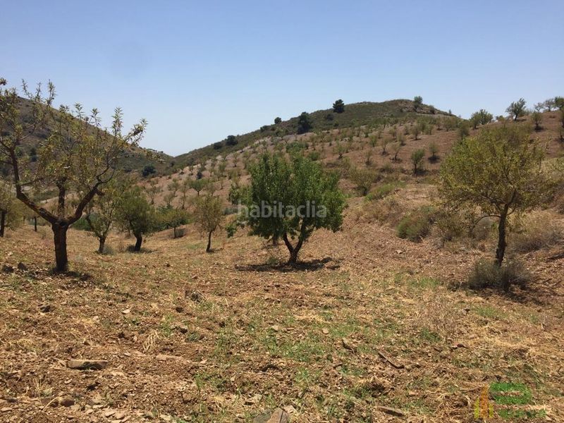 Foto 4ecdddf3-0caa-4ddf-86e5-4c5f8fc0c59d. Terreny residencial a sierra de la Torrecilla a Torrecilla Lorca