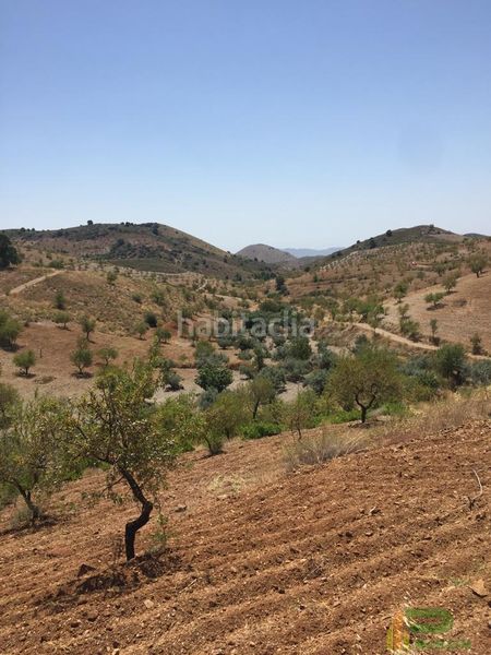 Foto db1ba1f4-0d84-40da-916f-7683b19fbf0f. Terreny residencial a sierra de la Torrecilla a Torrecilla Lorca