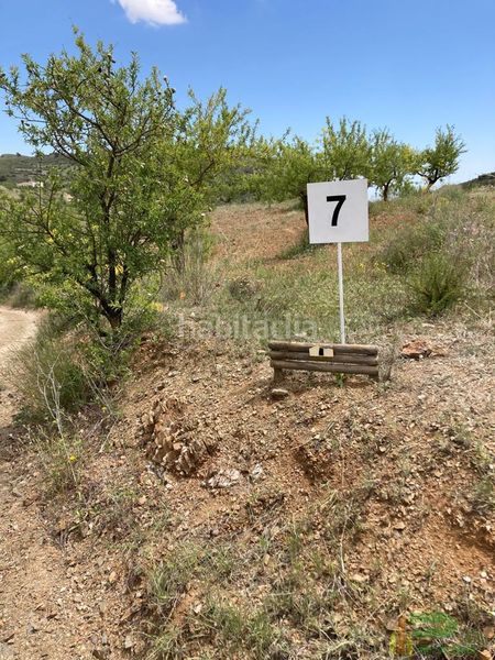 Foto fdebff98-0e28-4468-aeb8-b52a072d0ff9. Terreny residencial a sierra de la Torrecilla a Torrecilla Lorca