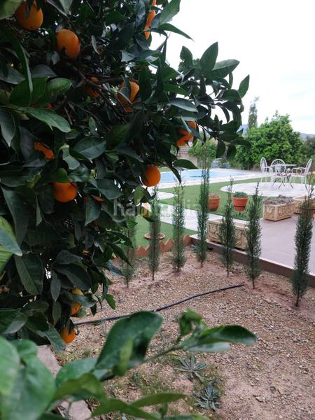 Foto 5c6200c7-aebe-402c-8ef5-2c40b4ef3bdf. Chalet dans Totana - alhama dans Totana