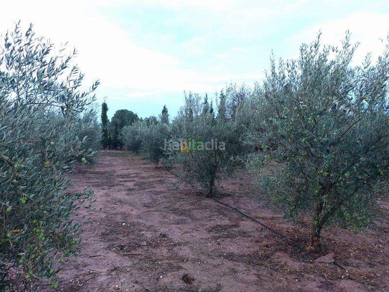 Foto 734583f1-bc4f-48d1-9b19-97c515ad8ccf. Chalet dans Totana - alhama dans Totana