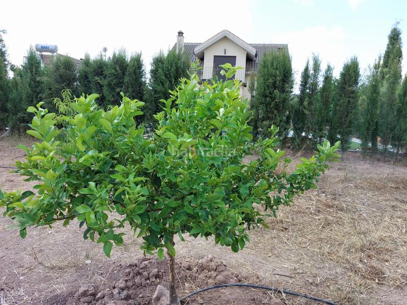 Foto c2d39815-81a5-42e5-a414-a1cac95c7441. Chalet dans Totana - alhama dans Totana