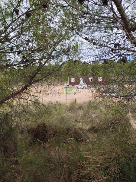 Foto 3901ffa3-f2c0-4701-973e-cad14cef7f3f. Maison dans los llanos Totana dans Totana