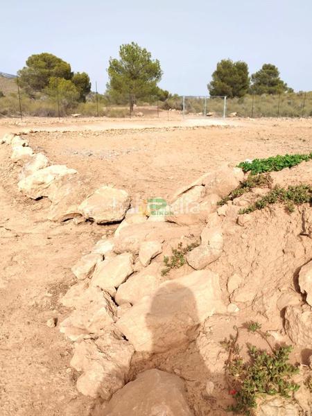 Foto 744e73e4-6b4a-4581-a7c1-b32bb8092279. Maison dans los llanos Totana dans Totana