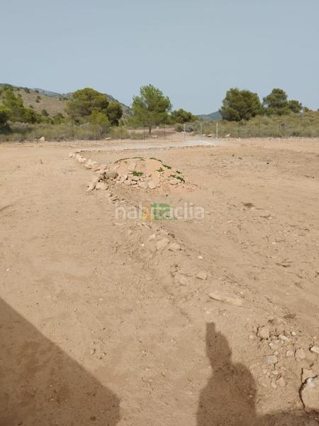 Foto cc9aba7b-3f3c-45c0-bd05-4e26005eac37. Maison dans los llanos Totana dans Totana