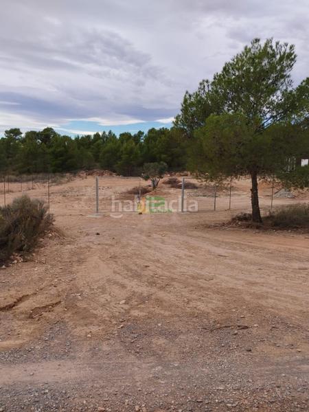 Foto dcbd7839-7ed2-4c73-8799-d8c758fd604e. Maison dans los llanos Totana dans Totana