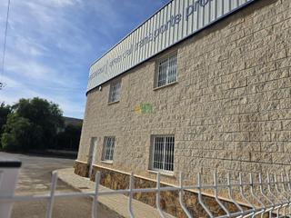 Rent Office space in Torrecilla. Lorcaoficina