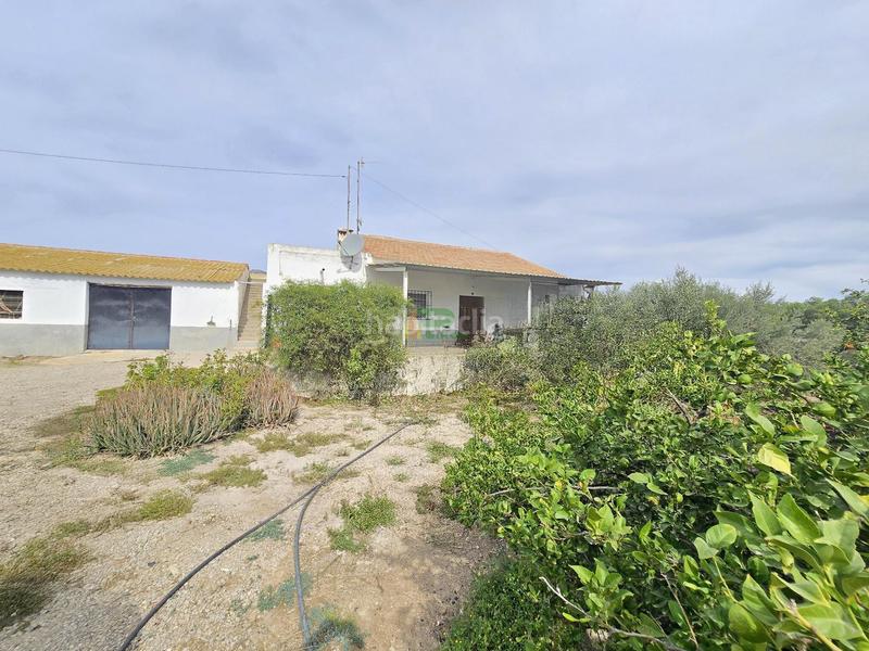 Foto 44b3429a-dbeb-4030-a37d-83c6cfa7ccaa. Mas dans cerca del centro dans La Hoya Lorca