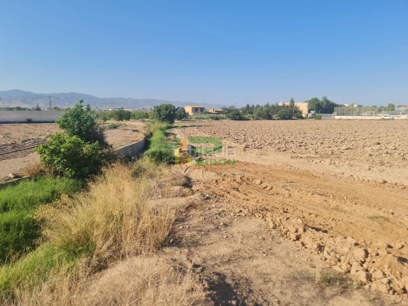 Foto cf14c0ed-e036-45c4-9961-e5b463401179. Terreny residencial a La Hoya Lorca