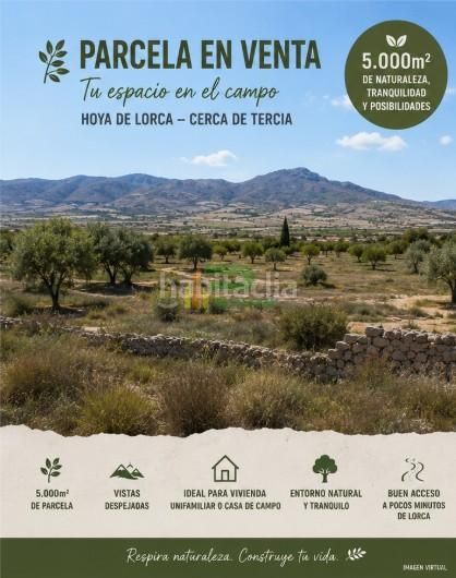 Foto 5f9b5d8e-c179-4b5e-aba1-a5f4ae49458d. Terreny residencial a Tercia Lorca