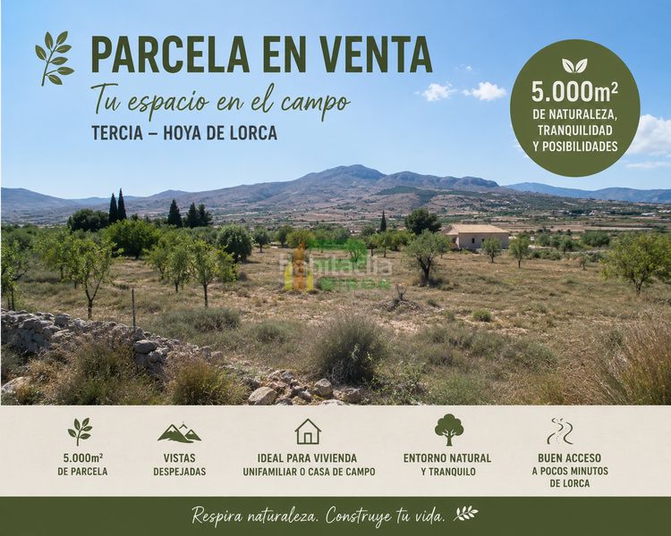 Foto af1700a7-abaa-47cb-b44f-25b96e2b3812. Terreny residencial a Tercia Lorca