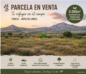 Terreno residencial en Tercia. Lorcaterreno