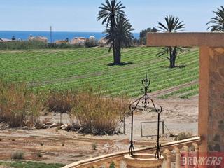 Casa a Calle distrito el calón - pozo esparto 1. Tu refugio de ensueño chalet independiente con jardín privado.