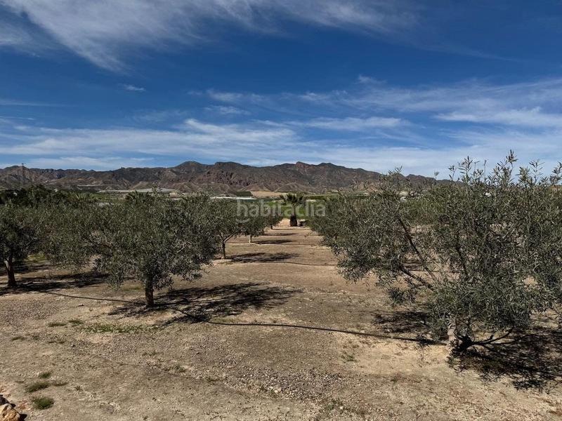 Foto ce9fe674-b0a3-4d26-9759-3b978a03f941. Chalet con riscaldamento piscina in Cuevas del Almanzora pueblo Cuevas del Almanzora