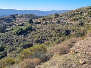 Fondo rustico  Rambla de la serena. Parcela espaciosa con vistas panorámicas