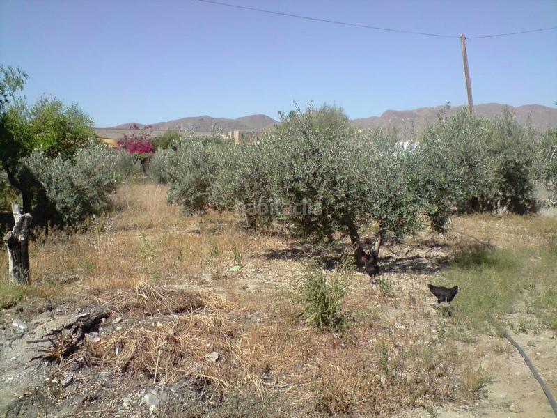 Foto 6099d156-7a12-4cc8-a62c-caf6e2712186. Àtic a camino magara a Pechina