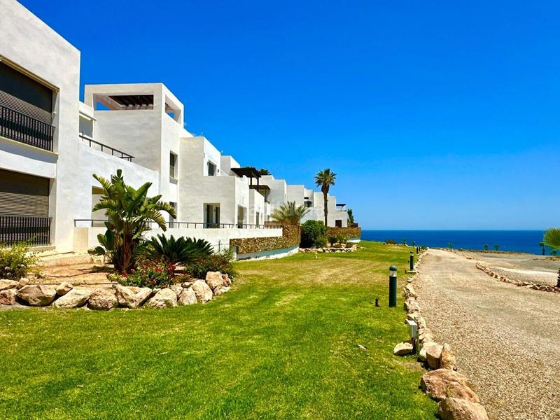 Foto d62c3313-50e7-4185-a8e7-c76629ff641e. Attique dans cl califato dans Mojácar playa - las ventanicas - la paratá Mojácar