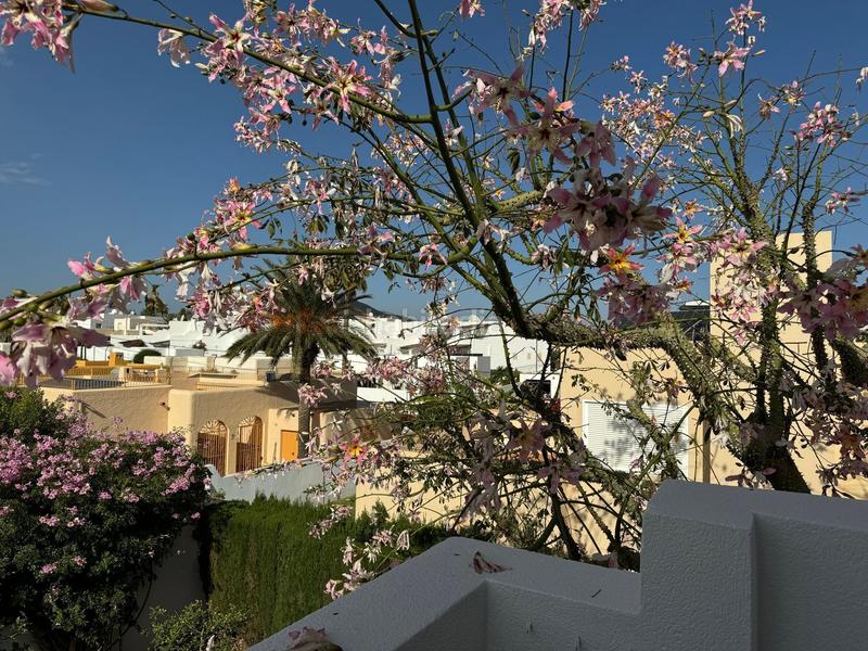 Foto 973d4f3a-605a-41d1-87b6-86476dc3ef56. Haus mit parking pool in El Palmeral Mojácar