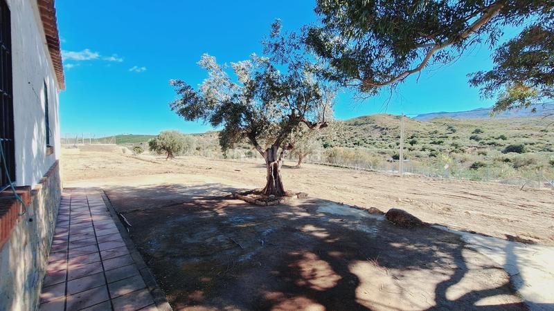 Foto 2690515b-e91c-4bf9-b161-7c63645a64ba. Landgut in Gallardos (Los)