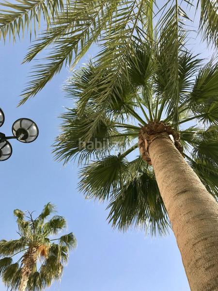 Foto 5ea6b559-0e36-463a-8c84-800486dd9a6d. Attique avec piscine dans El Palmeral Mojácar