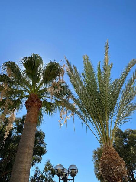 Foto 87014ecd-b179-466f-8d12-c255472839a4. Attique avec piscine dans El Palmeral Mojácar