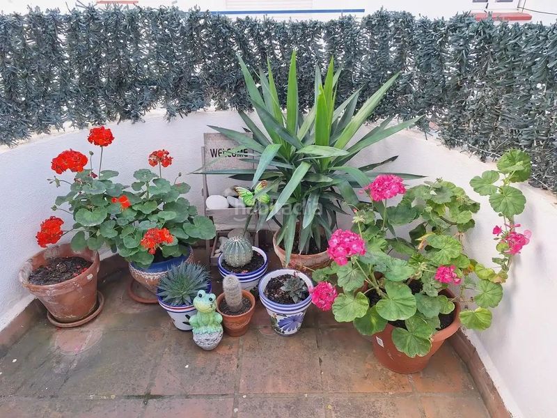 Foto 3a8683d9-7f93-4582-bc62-0d707b1413b7. Apartament amb piscina a Mojácar pueblo Mojácar