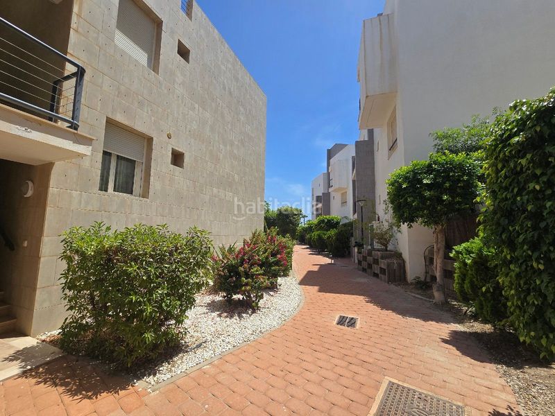 Foto b1d1b87f-028b-45e7-b59b-30199ca5bafd. Pis a calle delfin a El Playazo Vera