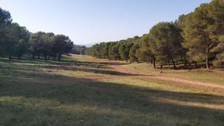 Finca rústica a Humilladero. Venta de parcela rustica en humilladero