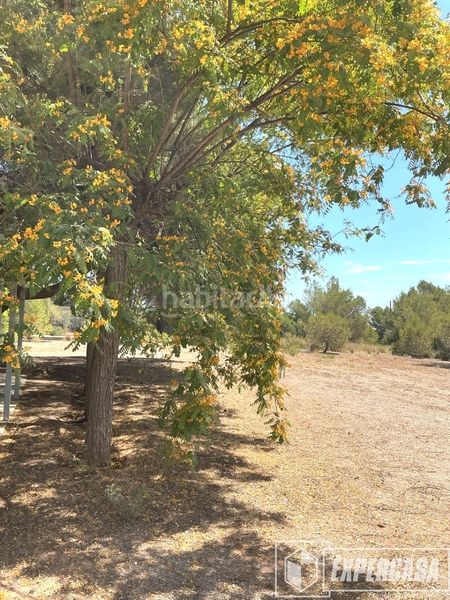 Foto 44d54fa8-e6fd-4e07-a051-d683621d5472. Xalet amb aparcament a Centro Bétera