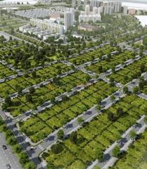 Terreny residencial a Malilla