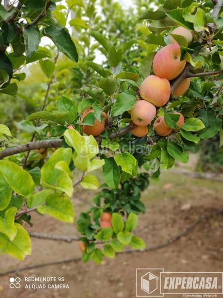 Foto 1725c413-595f-4019-86bf-90cf0e3ad57f. Chalet avec chauffage parking piscine dans Vilamarxant