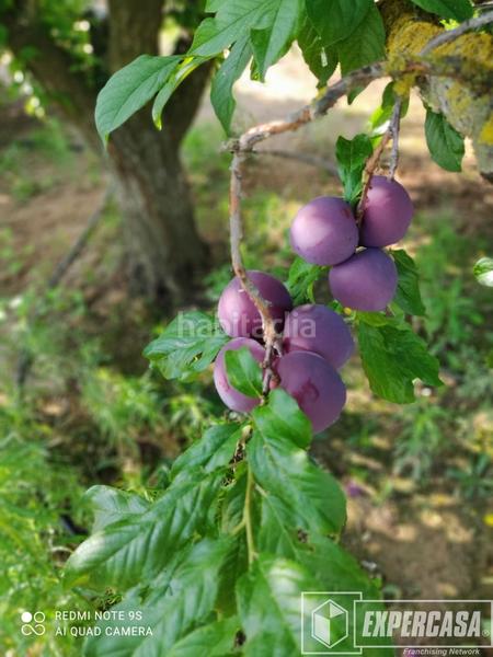 Foto 217804d4-e5fb-45a8-a8c1-5b26e81eb240. Chalet con riscaldamento parcheggio piscina in Vilamarxant