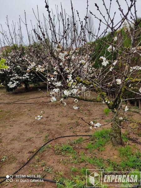 Foto 7058e731-9886-424c-bc25-0796d13555a7. Chalet con riscaldamento parcheggio piscina in Vilamarxant