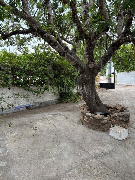 Foto 4fe74ba6-ac83-41ab-b312-ade90ab49b58. Casa a Turís