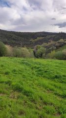 Finca rústica  Oruña - barrio la venera. Finca urbana en oruña de piélagos