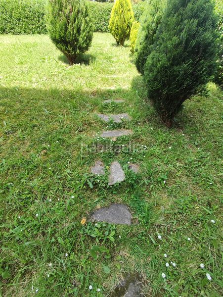 Foto 4bef742a-3ac7-444c-abf8-211170708446. Pis a Santander - calle via cornelia 28 a General Dávila Santander