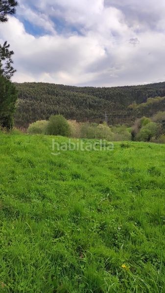 Foto 4e5e4fa5-b466-410b-8edd-414c70d7b5ed. Finca rústica a Oruña Piélagos