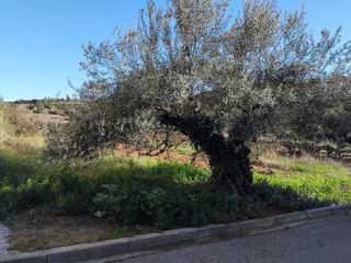 Terreno residencial en Sant Lloren� d�Hortons. Parcelas sant joan samora