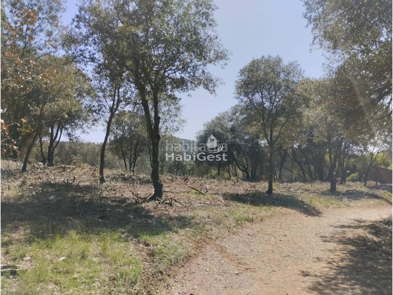 Foto 0d820ff9-682f-4e6c-9d26-48fe283593c7. Fondo rustico in Sant Daniel Girona