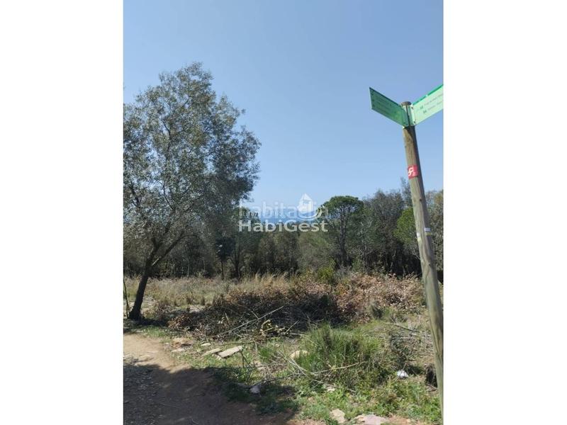 Foto 72105397-7835-4ca6-96b6-1a493f604653. Fondo rustico in Sant Daniel Girona