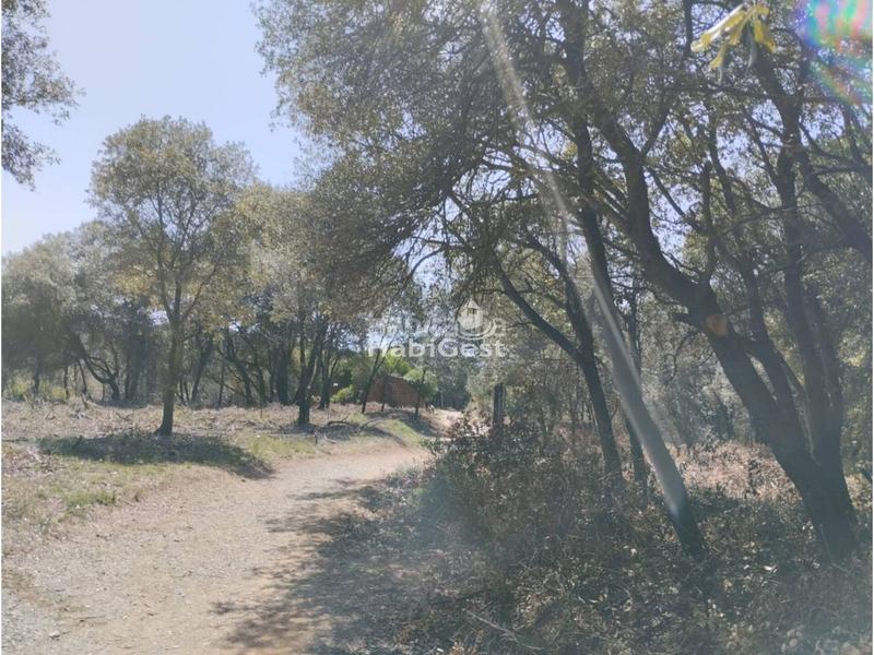 Foto a4a9f81b-9798-4b40-b529-60f519a7a9f4. Fondo rustico in Sant Daniel Girona