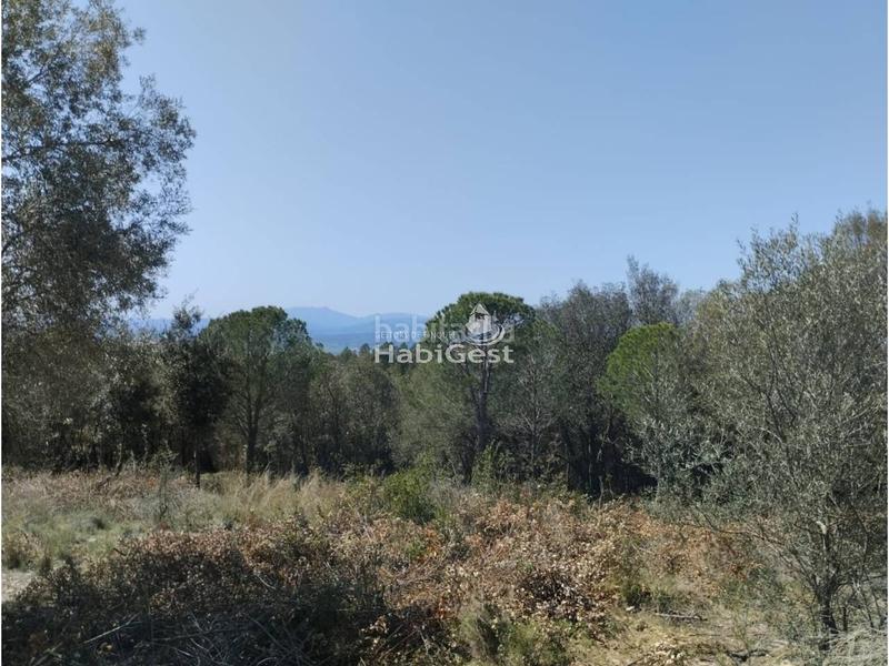 Foto b8257882-0692-4cca-9add-40dd696094c2. Fondo rustico in Sant Daniel Girona