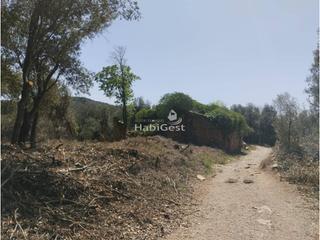 Propriété  Sant daniel. Finca rustica en venta en sant danielvilaroja17007
